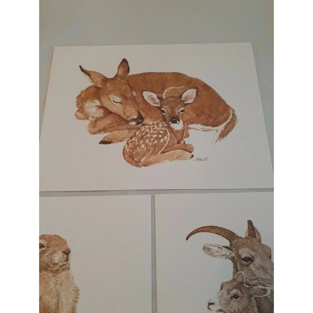 Lot Of 3 Nature Animal Picture Cards Crafts Art 5.75 x 7.75 Blank Back